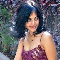 Bindu Madhavi Hot in Pink Gown Dress - Pictures | Picture 120954